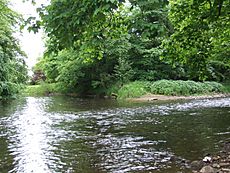 Marple River Goyt 0297