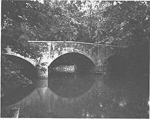McClay's Twin Bridge (West)
