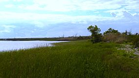 Meaher State Park 01.jpg