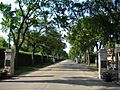 MemorialAvenueSaskatoon