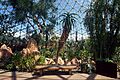Mitchell Park Horticultural Conservatory July 2022 17 (Desert Dome)