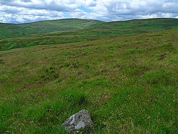 Moorland southwest of Ben Clach - geograph.org.uk - 1392358.jpg