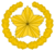 Myanmar-Army-OR-9.svg