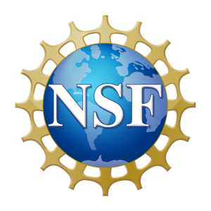 NSF Official logo Med Res.png