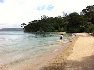 Nago, Okinawa Prefecture, Japan - panoramio