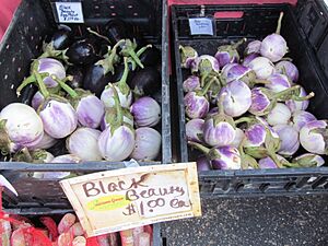 New Orleans Farmers Market Uptown Aug 2011 Black Beauty Eggplant