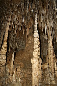 Newdegate cave-Tasmania-Australia10