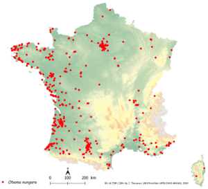 Obama nungara Justine et al PeerJ 2020 fig-14-full