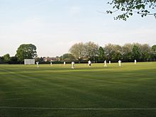 Peaceful cricket scene within Havant Park - geograph.org.uk - 798704