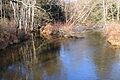 Pine Creek looking upstream