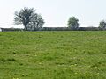 Plumpton Pasture 5