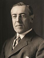 President Woodrow Wilson by Harris & Ewing, 1914 (3x4 cropped).jpg