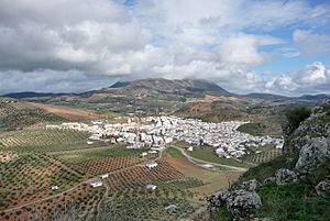 Aerial view of Pruna town.