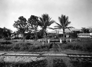 Queensland State Archives 1331 Sugar Experiment Station Meringa near Cairns c 1935