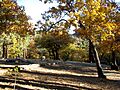 San Gabriel Mountains (2972839468)