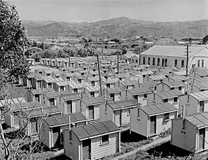 Single men's huts, Gracefield