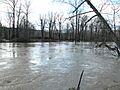Snoqualmie River-6