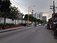South Avenue Makati.jpg