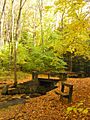 South Chagrin Reservation