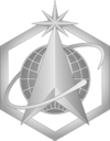 Space Force enlisted service cap badge