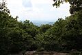 Springer Mountain view