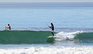 Stand-Up Paddle Surfer at Cardiff Reef, California