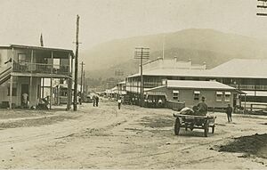 StateLibQld 1 245635 Township of Tully in North Queensland