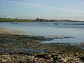 Stour estuary at Holbrook Bay - geograph.org.uk - 1602120