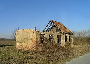 Sunja (Croatia)