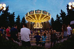 Swings of the Century at night in Canada's Wonderland
