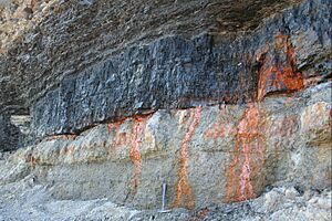 Sydney Mines Point Aconi Seam 038