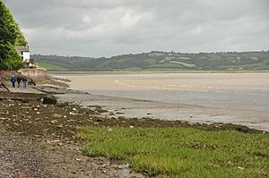 Taf Estuary at Laugharne (5910)