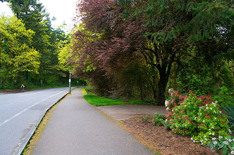 Terwilliger Parkway