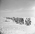 The Campaign in North Africa 1940-1943 E18485