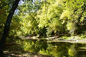 Tiffin River at Goll Woods State Nature Preserve in Ohio