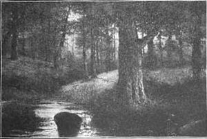 Toby Creek in the late 1800s or early 1900s
