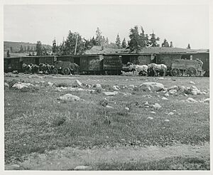 Train depot at Alma Junction in the early 1900s - DPLA - 0b5a3b9d6b602d7d6876fd47e7559fc3