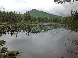 Pond with mountain in background
