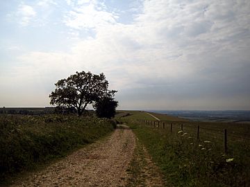 View from Walbury Hill.jpg