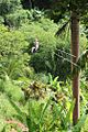 Zipline in the Tanamá National Forest of Utuado, Puerto Rico