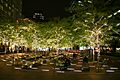 Zuccotti Park with christmas lights