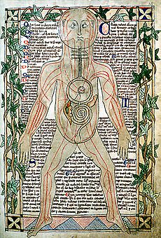 13th century anatomical illustration - sharp