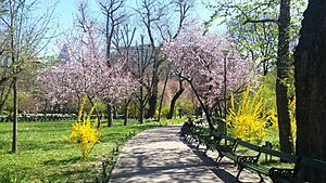 2017 Cismigiu, Bucuresti (3)