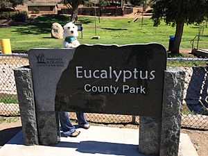 2018-02-20 Eucalyptus Park La Mesa 2241