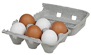 6-Pack-Chicken-Eggs