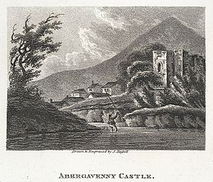 Abergavenny Castle (3374855)
