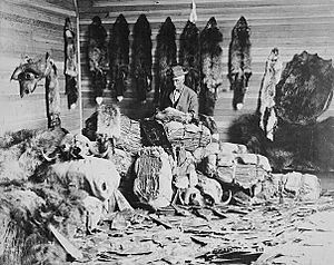Alberta 1890s fur trader