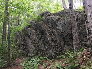 Anawan Rock, Rehoboth, Massachusetts-puddingstone