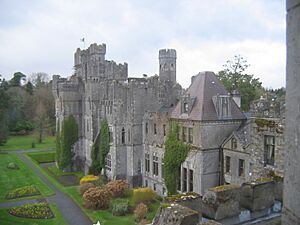 Ashford castle
