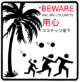 BEWARE FALLING COCONUTS sign in Honolulu Hawaii-Vector